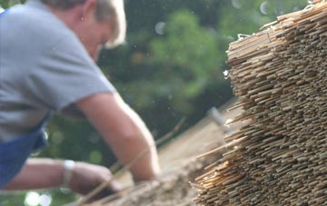 professional Llangristiolus thatchers